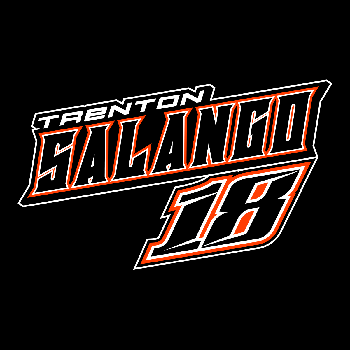 Trenton Salango Black 2025 Street Stock Champion Hoodie